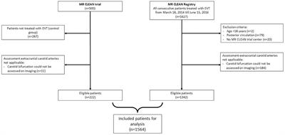 Acute Endovascular Treatment of Patients With Ischemic Stroke From Intracranial Large Vessel Occlusion and Extracranial Carotid Dissection